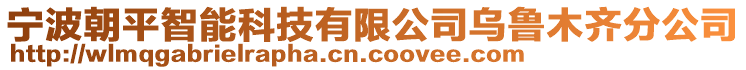 寧波朝平智能科技有限公司烏魯木齊分公司