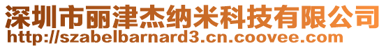 深圳市麗津杰納米科技有限公司
