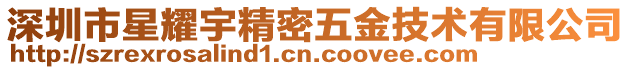 深圳市星耀宇精密五金技術有限公司