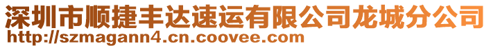 深圳市順捷豐達速運有限公司龍城分公司