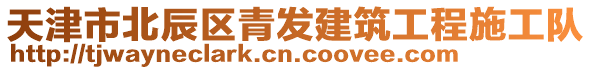 天津市北辰區青發建筑工程施工隊