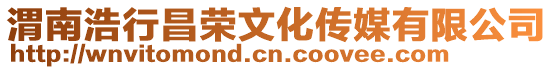 渭南浩行昌榮文化傳媒有限公司