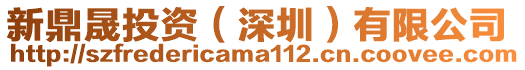 新鼎晟投資(深圳)有限公司