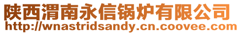 陜西渭南永信鍋爐有限公司