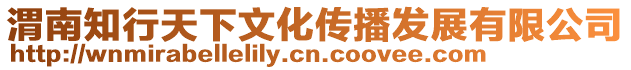 渭南知行天下文化傳播發展有限公司