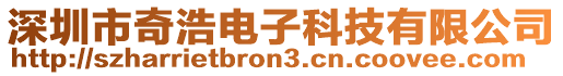 深圳市奇浩電子科技有限公司