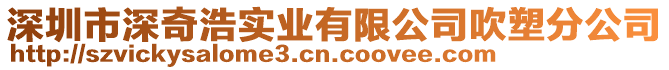 深圳市深奇浩實業(yè)有限公司吹塑分公司