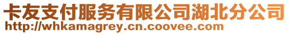 卡友支付服務有限公司湖北分公司