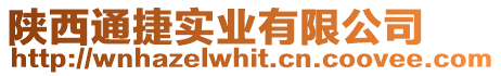 陜西通捷實業有限公司