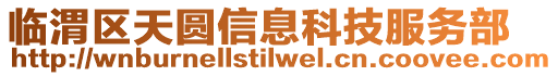 臨渭區天圓信息科技服務部
