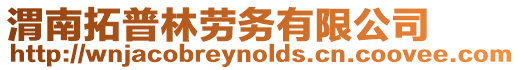 渭南拓普林勞務有限公司