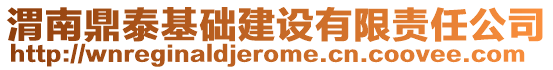 渭南鼎泰基礎(chǔ)建設(shè)有限責(zé)任公司