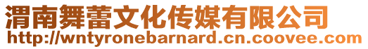 渭南舞蕾文化傳媒有限公司