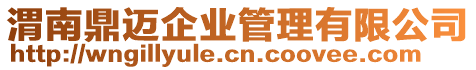 渭南鼎邁企業管理有限公司