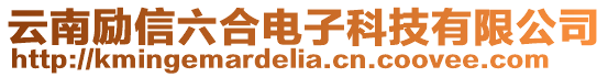 云南勵信六合電子科技有限公司