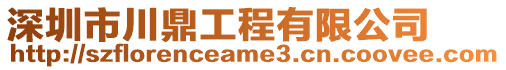 深圳市川鼎工程有限公司