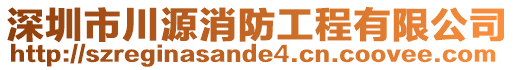 深圳市川源消防工程有限公司