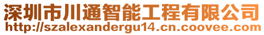 深圳市川通智能工程有限公司