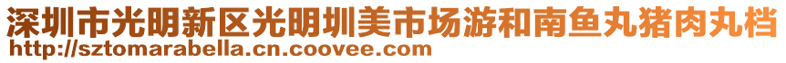 深圳市光明新區(qū)光明圳美市場游和南魚丸豬肉丸檔