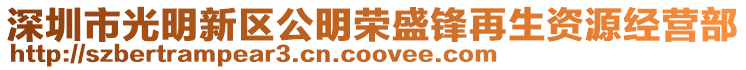 深圳市光明新區公明榮盛鋒再生資源經營部