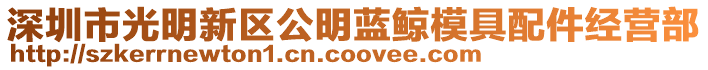 深圳市光明新區公明藍鯨模具配件經營部