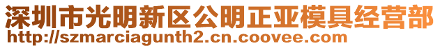 深圳市光明新區公明正亞模具經營部