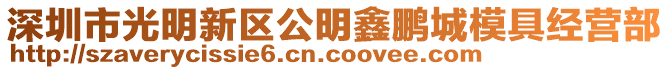 深圳市光明新區公明鑫鵬城模具經營部