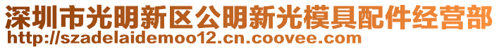 深圳市光明新區公明新光模具配件經營部
