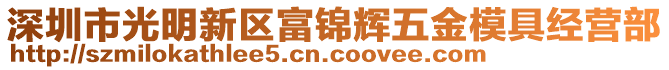 深圳市光明新區富錦輝五金模具經營部