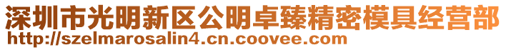 深圳市光明新區公明卓臻精密模具經營部