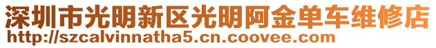 深圳市光明新區光明阿金單車維修店