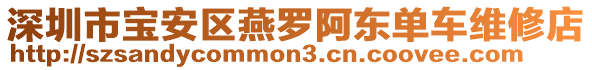 深圳市寶安區(qū)燕羅阿東單車維修店
