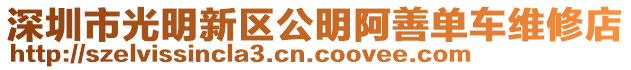 深圳市光明新區公明阿善單車維修店