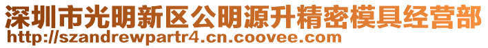 深圳市光明新區公明源升精密模具經營部