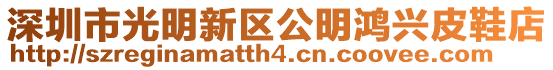 深圳市光明新區公明鴻興皮鞋店