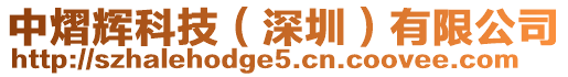 中熠輝科技(深圳)有限公司