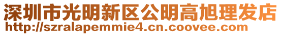 深圳市光明新區公明高旭理發店