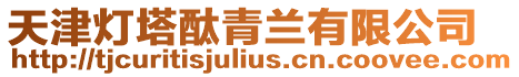 天津燈塔酞青蘭有限公司