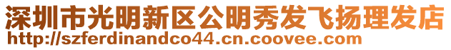 深圳市光明新區公明秀發飛揚理發店
