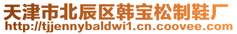 天津市北辰區(qū)韓寶松制鞋廠(chǎng)