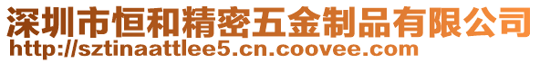 深圳市恒和精密五金制品有限公司