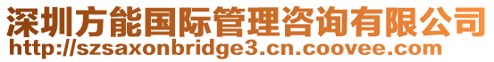 深圳方能國際管理咨詢有限公司