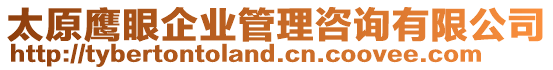 太原鷹眼企業管理咨詢有限公司
