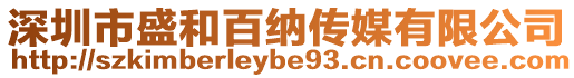 深圳市盛和百納傳媒有限公司