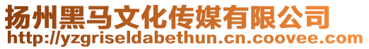 揚州黑馬文化傳媒有限公司