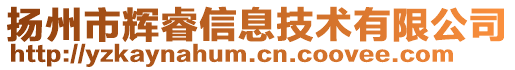 揚州市輝睿信息技術有限公司