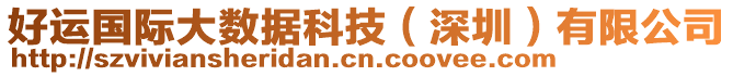 好運國際大數據科技（深圳）有限公司