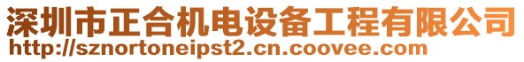 深圳市正合機電設備工程有限公司