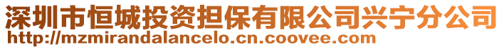 深圳市恒城投資擔保有限公司興寧分公司