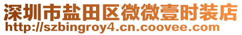 深圳市鹽田區(qū)微微壹時(shí)裝店